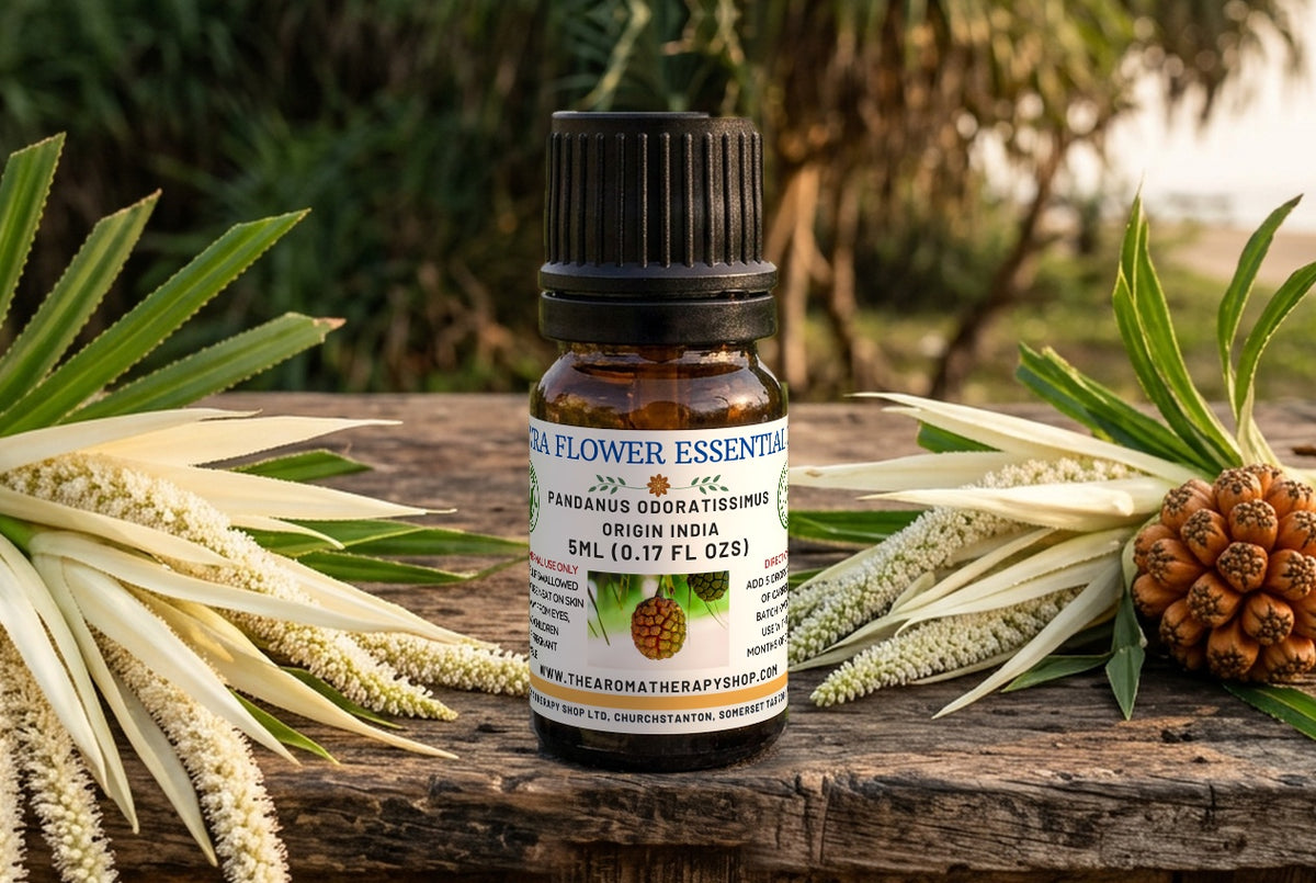 Kewra Essential Oil