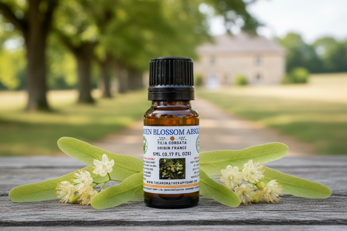 Linden Blossom Absolute 5ml, fresh render