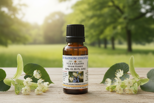 Linden Blossom Essential Oil 10ml – Fresh Start