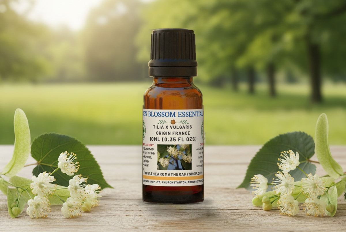 Linden Blossom Essential Oil / Origin France