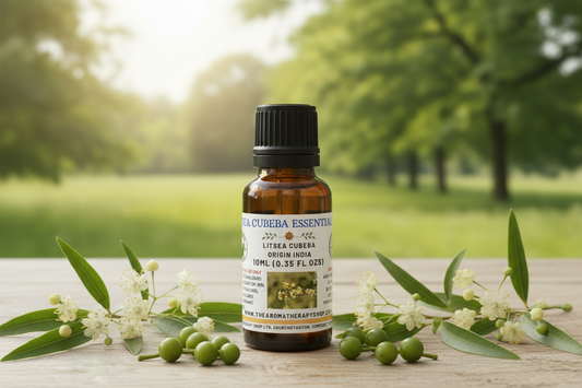 Litsea Cubeba Essential Oil 10ml
