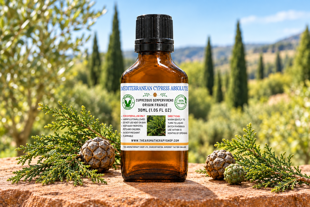 Mediterranean Cypress Absolute showcase with your 30 ml label, cypress sprigs and cones on warm natural sandstone in a southern French countryside setting