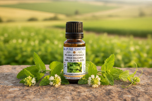 Melissa Pure Essential Oil 10ml Outdoor Showcase