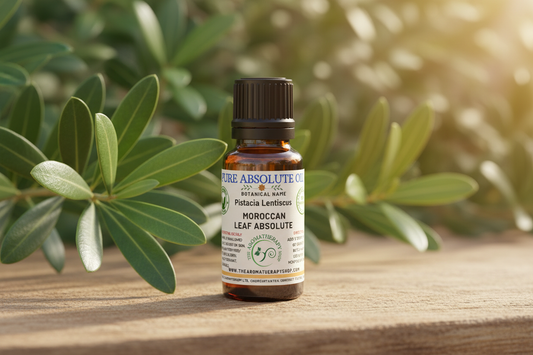 Moroccan Mastic Leaf Absolute Showcase