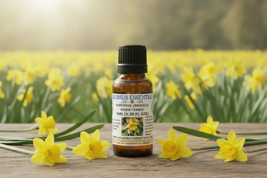 Narcissus Essential Oil 10ml