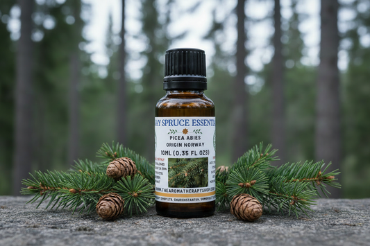Norway Spruce Essential Oil 10ml Outdoor Showcase