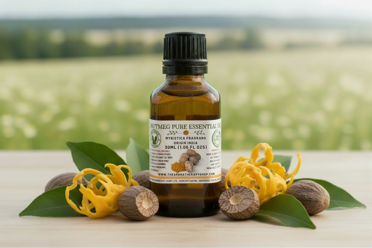 Nutmeg Pure Essential Oil 30ml - Correct Label
