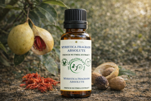 Myristica Fragrans Absolute - French Nutmeg Extract | Perfumery Grade