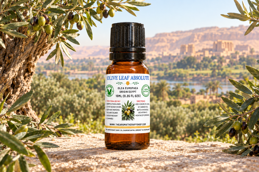 Olive Leaf Absolute 10ml Egyptian showcase