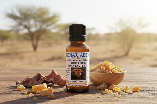 Opoponax Absolute 10ml Outdoor Showcase