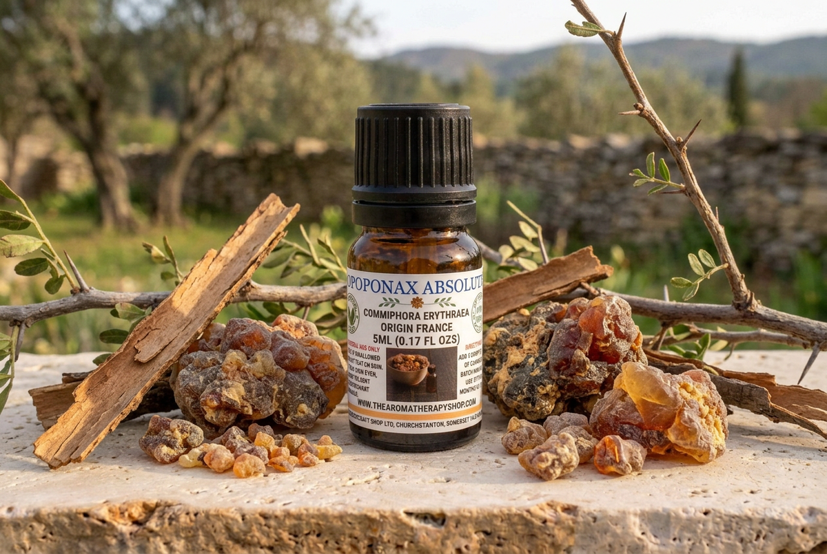 Opoponax Absolute 5ml showcase with natural-sized resin, bark and branches on limestone in a French Mediterranean setting