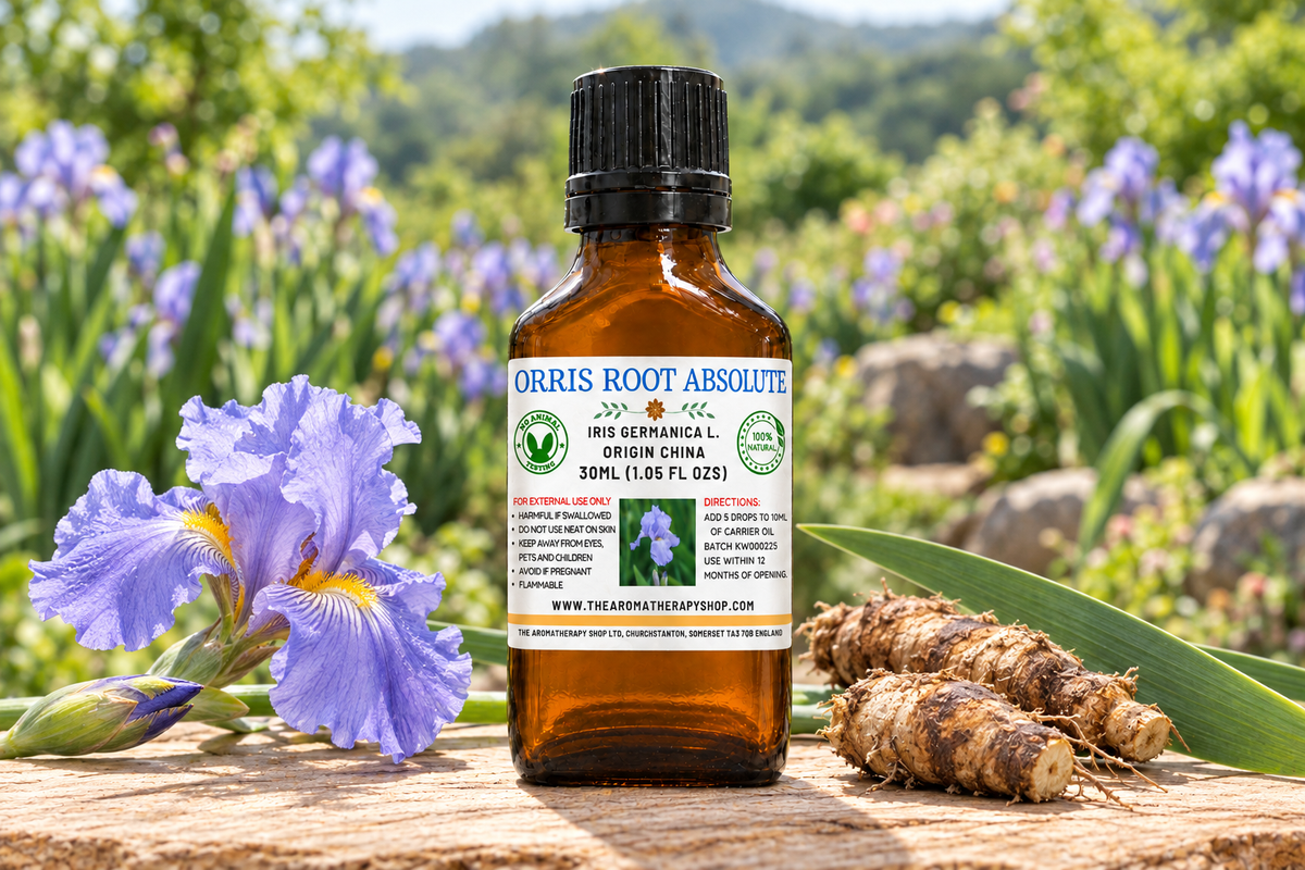 Orris Root Absolute showcase with your label, bearded irises and rhizomes on natural elm wood, and a Chinese garden background