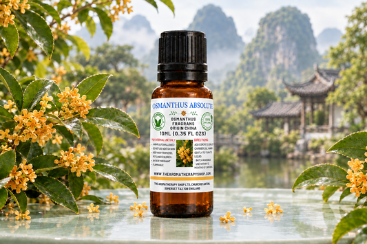 Osmanthus Absolute 10ml with corrected label text