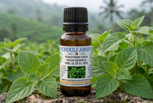 Patchouli Absolute showcase with an Indonesian background and new natural surface