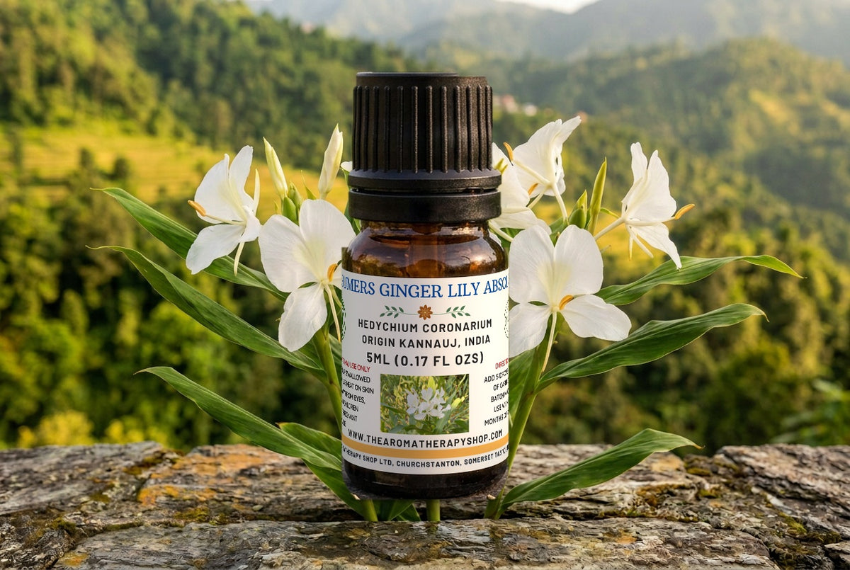 White Ginger Lily Pure Essential  Oil