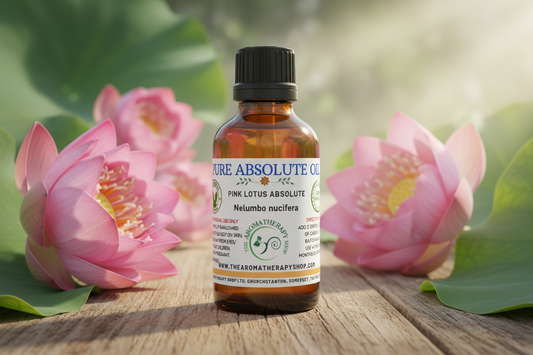 Pink Lotus Absolute Showcase Image