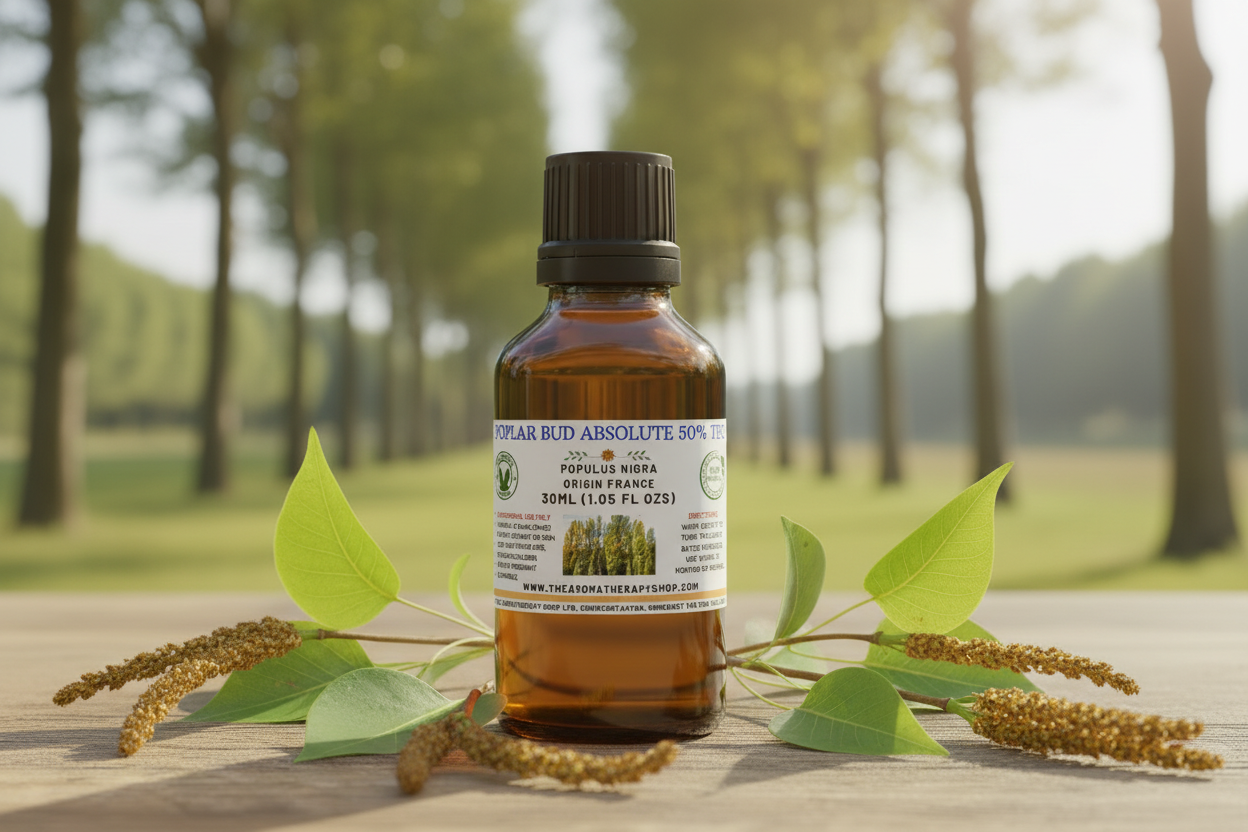 Poplar Bud Absolute 50% TEC 30ml - Fresh Start