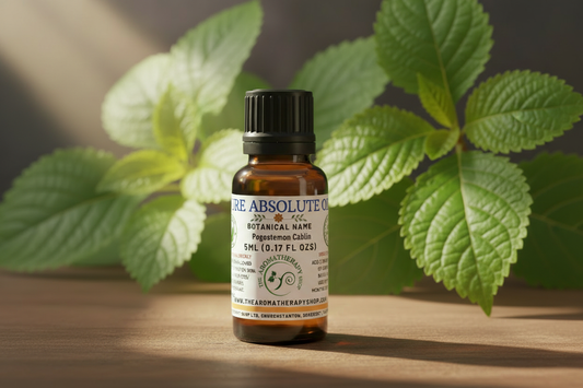 Premium Indonesian Patchouli Absolute 5ml with accurate patchouli leaves
