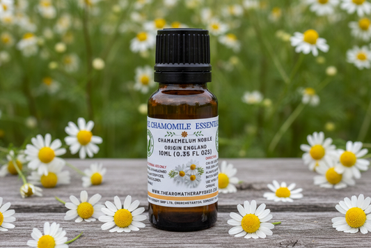Pure Chamomile Essential Oil with straight bottle angle