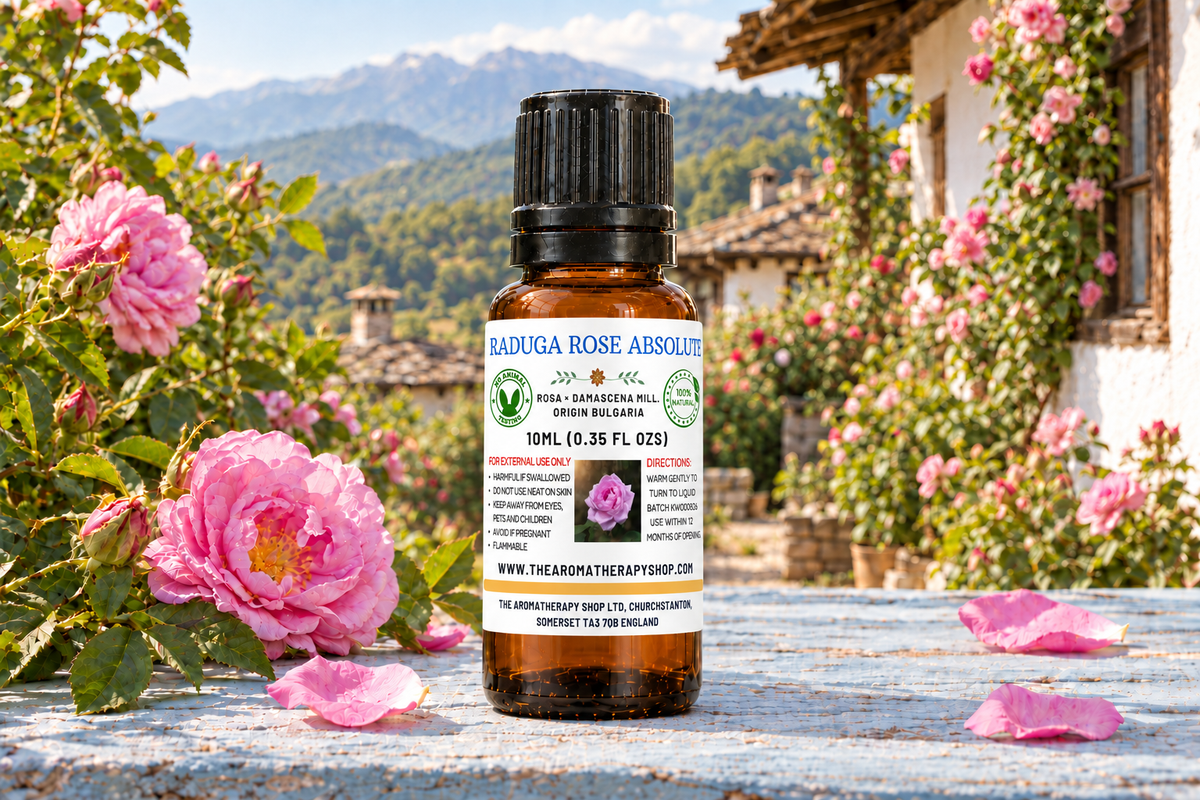 Raduga Rose Absolute 10ml with original label order