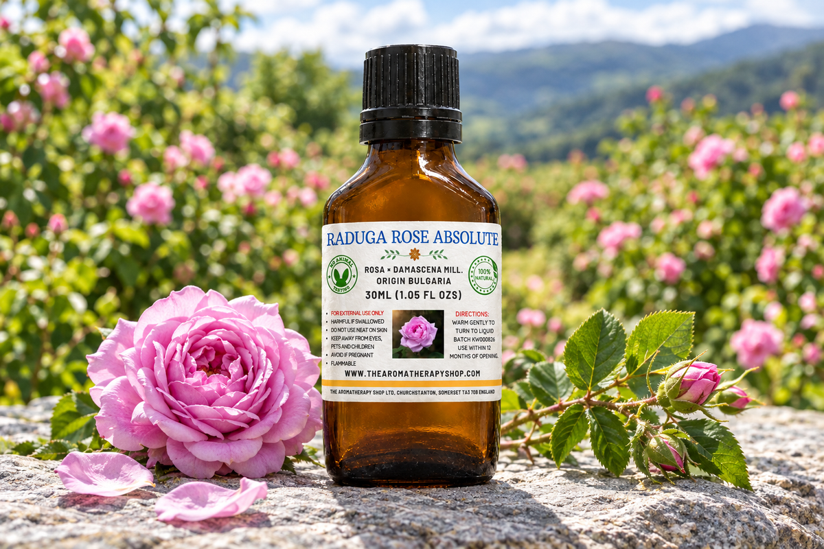 Raduga Rose Absolute showcase with your label, pink roses on natural gneiss and a Bulgarian rose-garden background