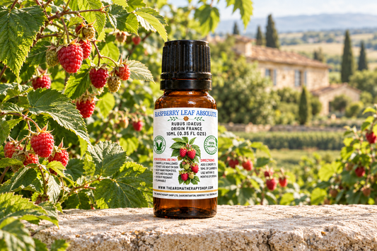 Raspberry Leaf Absolute 10ml French showcase