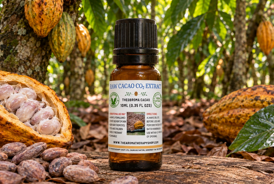 Raw Cacao showcase revised using the Rose bottle shape and lighting, with life-sized cacao pods and beans