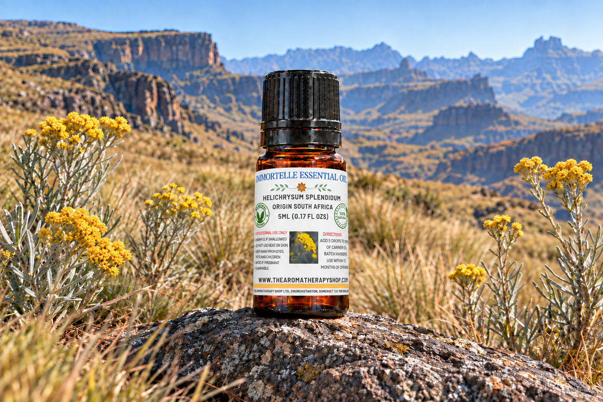 Refined South African Immortelle showcase