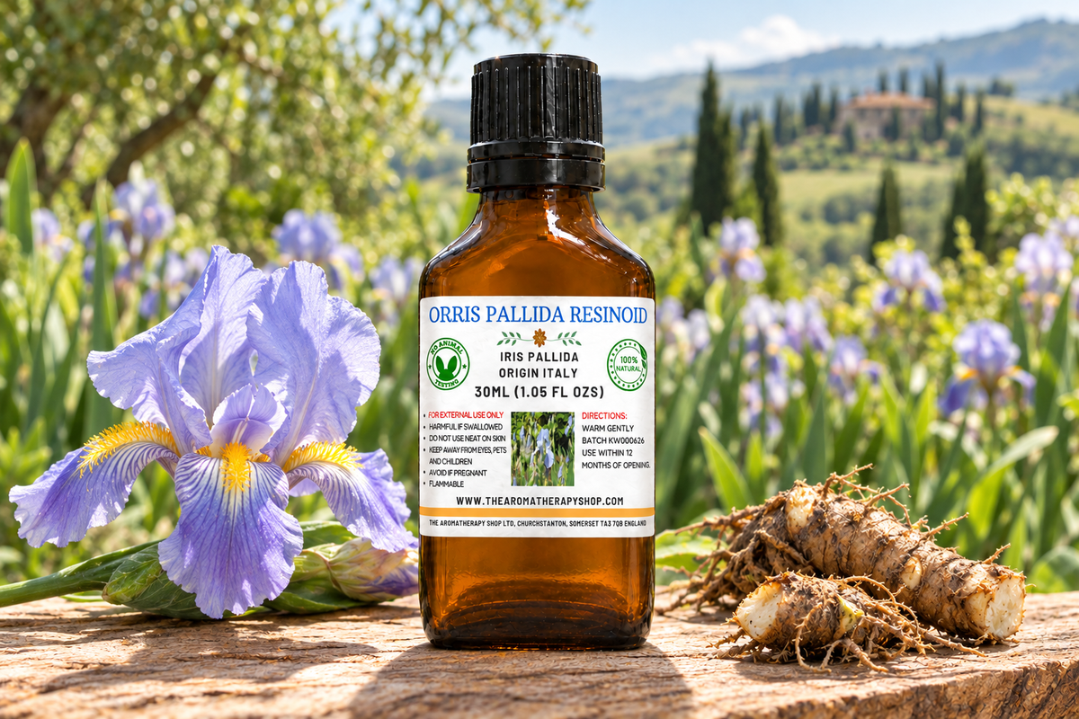 Retried Orris Pallida showcase with your label and an Italian iris-garden setting