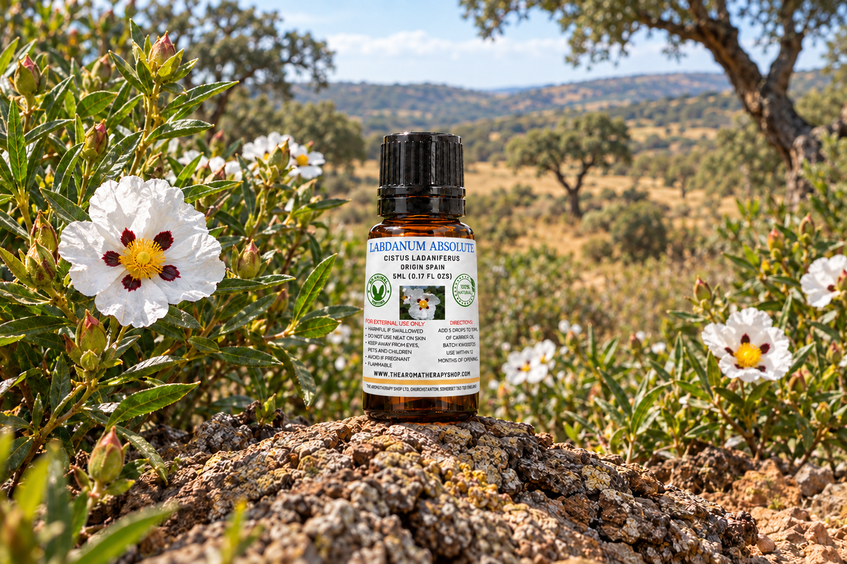 Revised Labdanum Absolute showcase