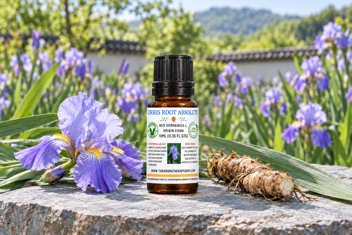Revised Orris showcase targeting the 6.5 cm overall bottle height and a naturally wrapped label