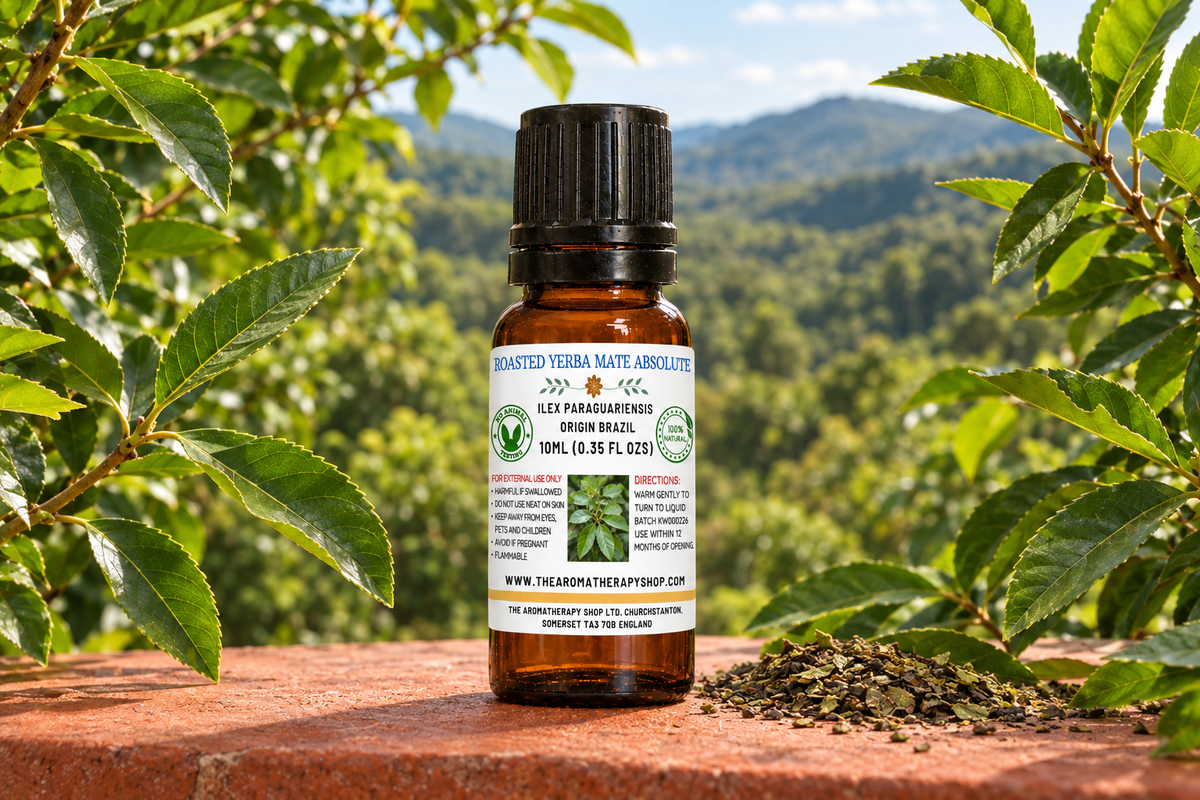 Roasted Yerba Mate Absolute 10ml Brazilian showcase