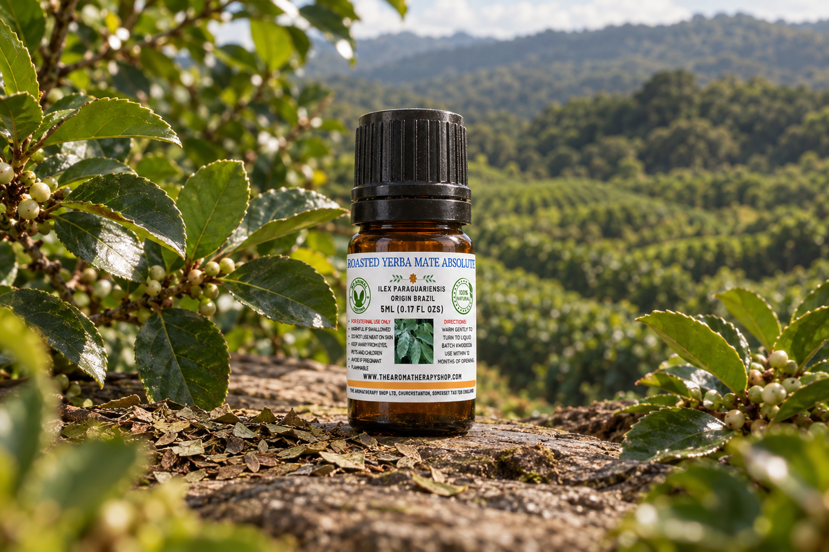 Roasted Yerba Mate Absolute 5ml Brazilian outdoor showcase