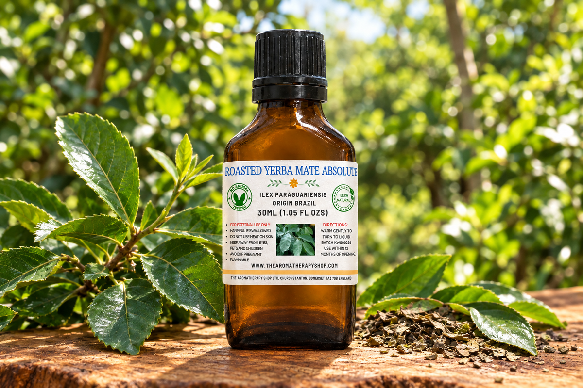 Roasted Yerba Mate showcase with your label, a centred slightly set-back bottle and Brazilian grove setting on natural hardwood