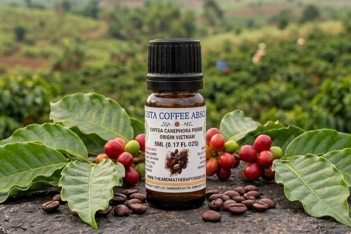 Robusta showcase revised using the newly attached bottle shape and a farther-back placement