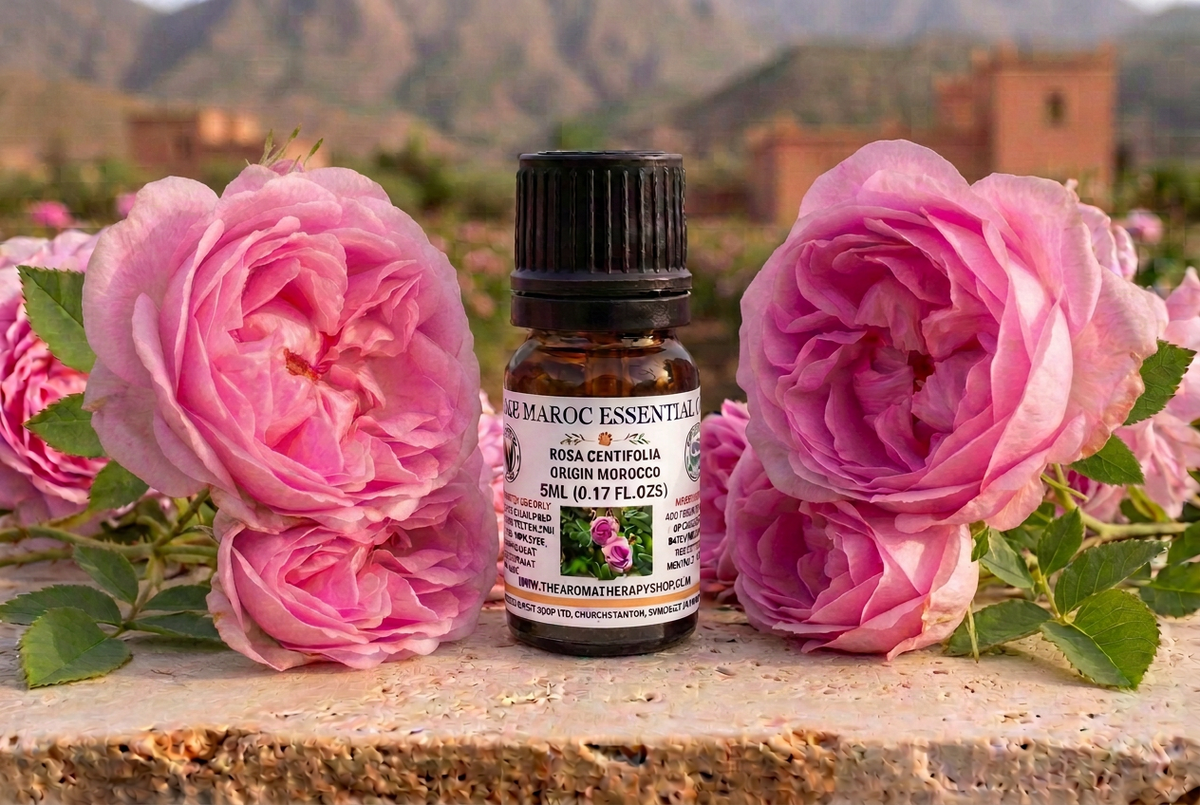 Rose Maroc showcase with a cleaner white label, retaining the approved roses and scene