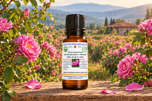 Rose Otto 10ml revised label