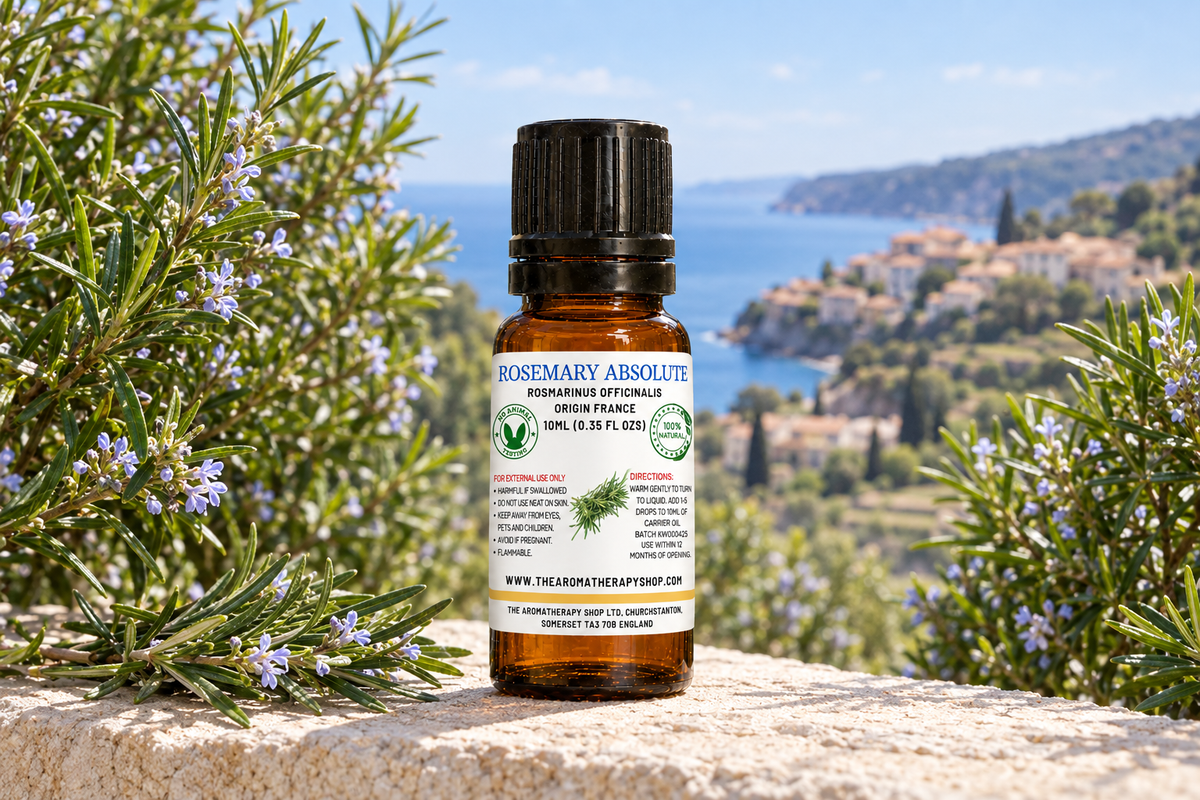 Rosemary Absolute 10ml fresh version