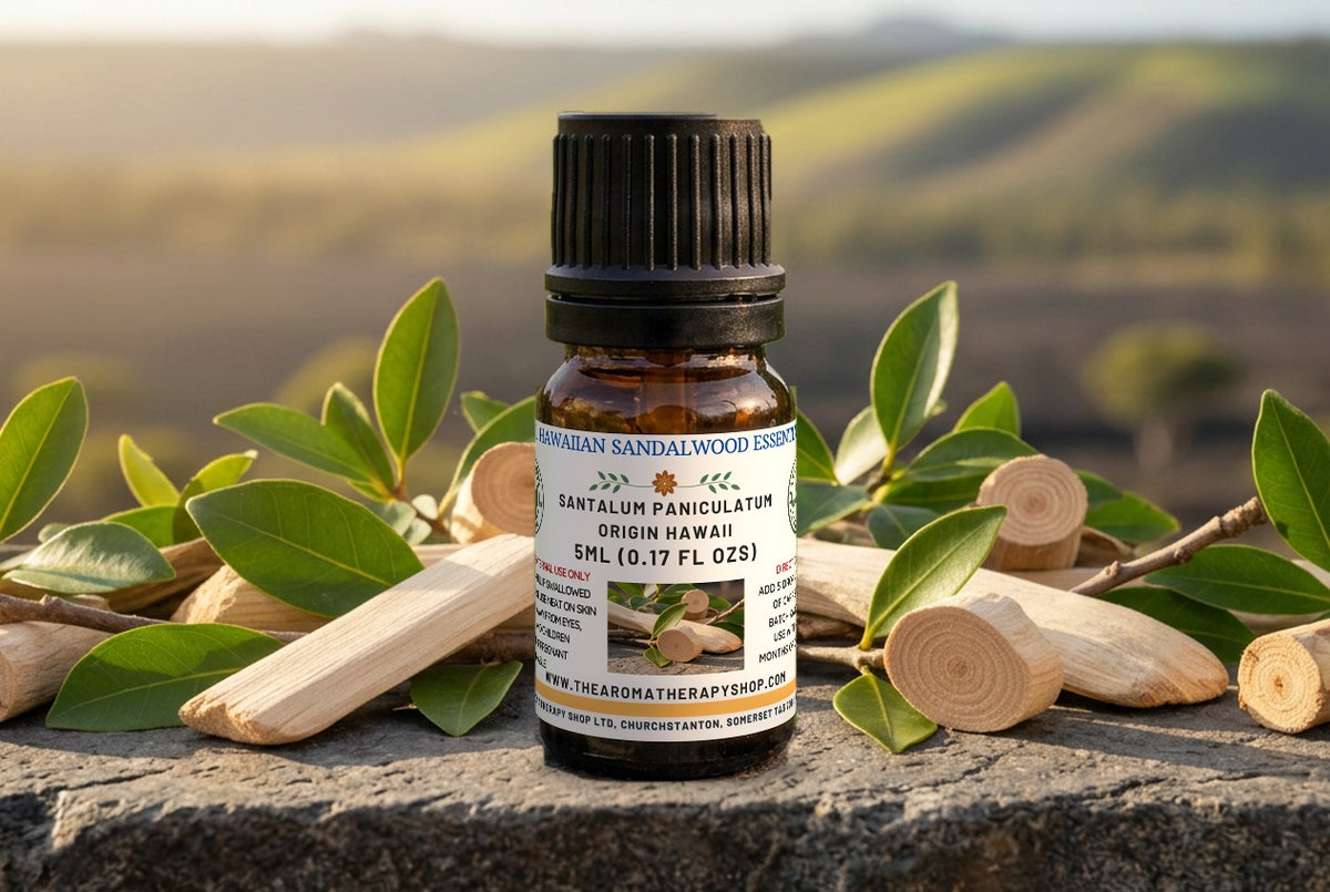 Royal Hawaiian Sandalwood / Origin Hawaii
