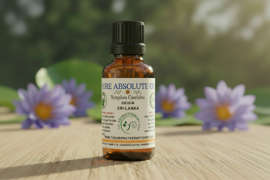 Sacred Blue Lotus Absolute 3:2 landscape