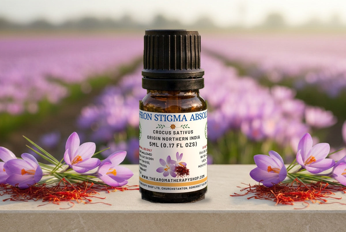 Saffron Stigma Absolute