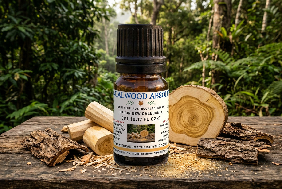 New Caledonian Sandalwood Absolute | Artisanal Perfumery Grade