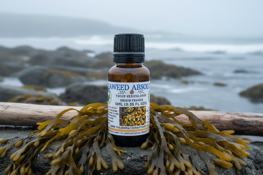 Seaweed Absolute 10ml Outdoor Showcase