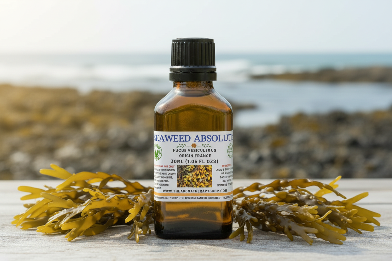 Seaweed Absolute 30ml - Clean Label