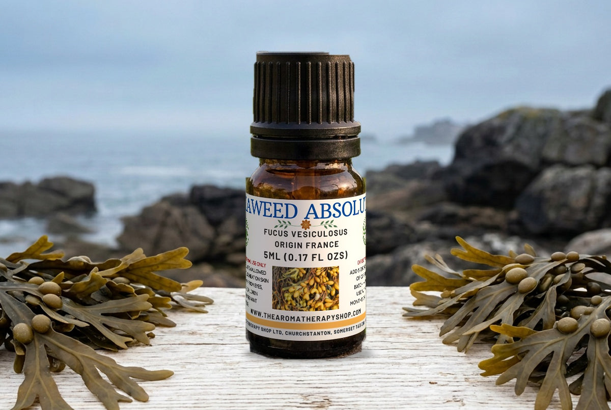 Seaweed Absolute Oil / Origin France