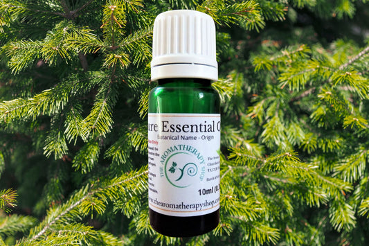 Siberian Fir Essential Oil