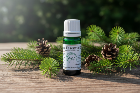 Silver Fir Essential Oil