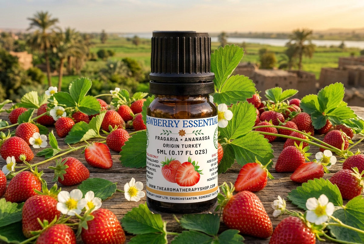 Strawberry Essential Oil / Origin Egypt