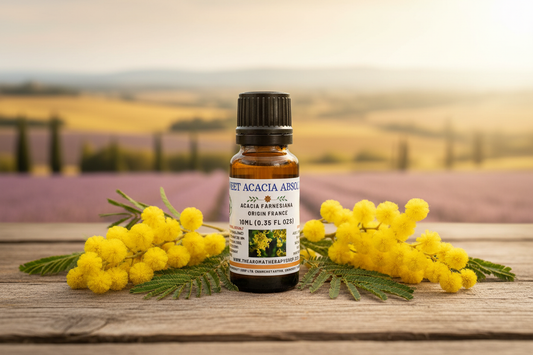 Sweet Acacia Absolute 10ml