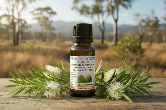 Tea Tree 10ml - Authentic Australian Bushland